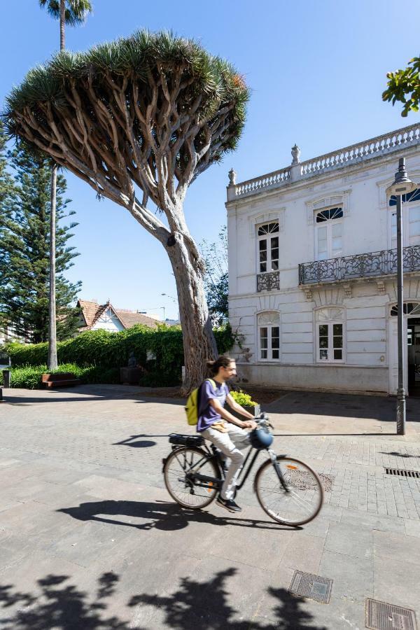 Casa Esperanto Lägenhet La Laguna  Exteriör bild